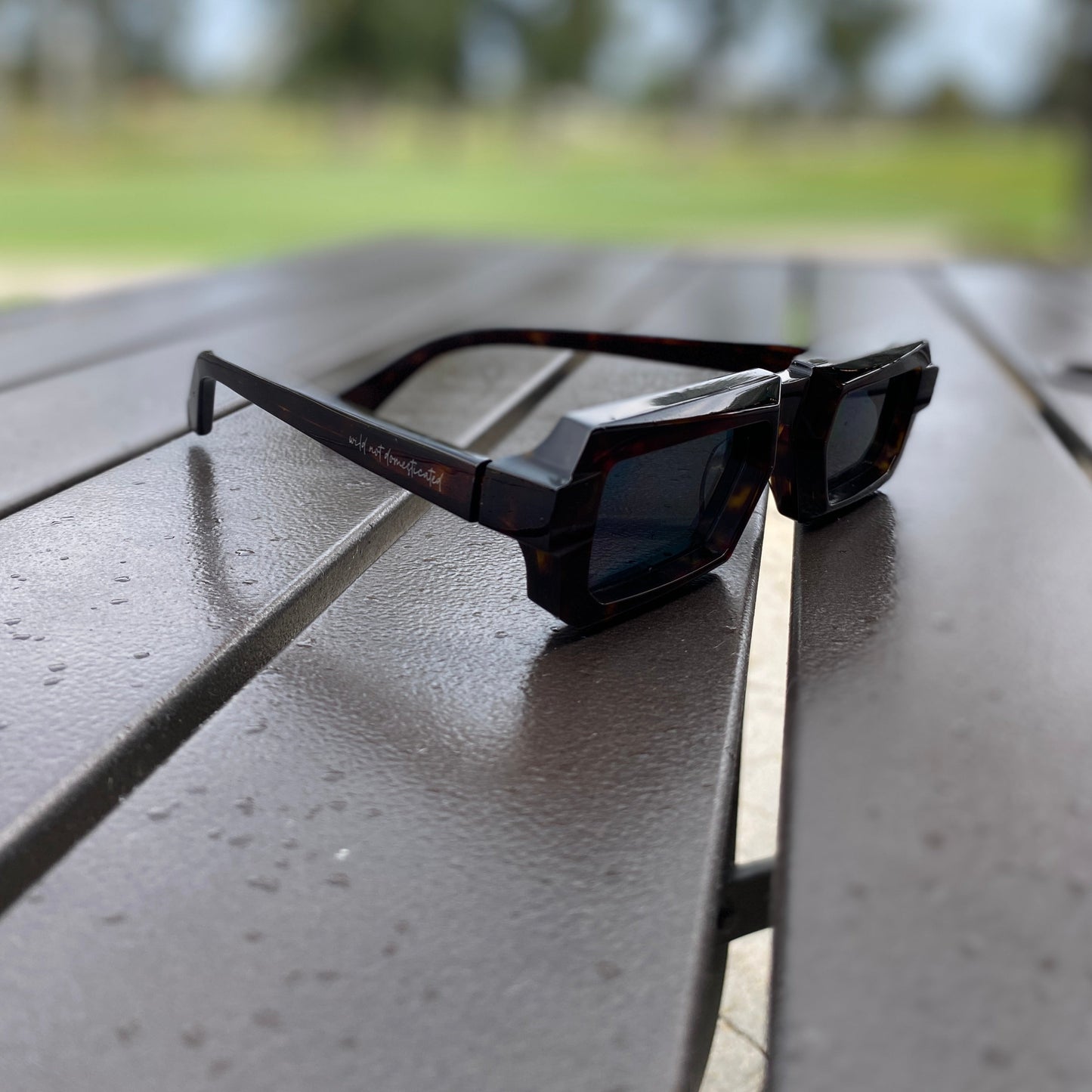 Wick Eddition Sunglasses - Black Leopard